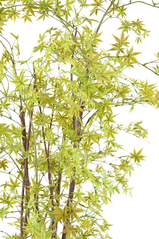 Kunstig Aralia Plante 180Cm Til Indendørs Udendørs