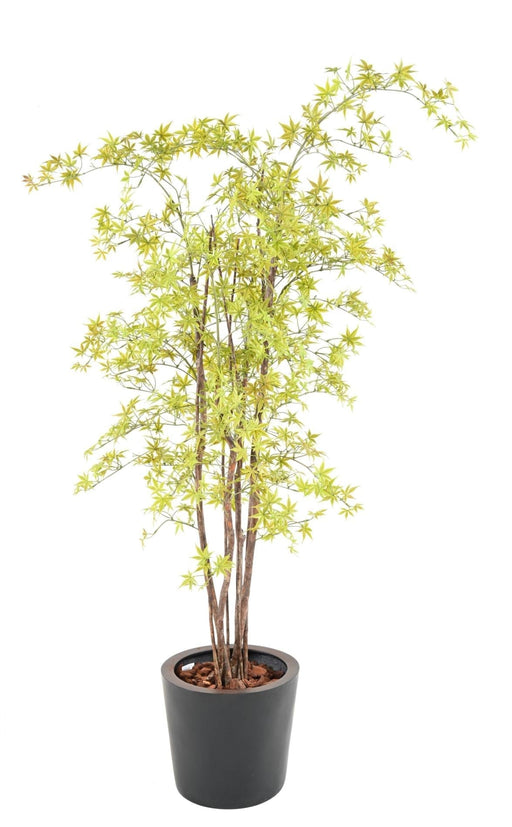 Kunstig Aralia Plante 180Cm Til Indendørs Udendørs