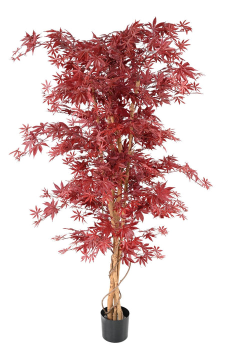 Kunstig Aralia Plante Rød 190Cm Til Indendørs