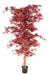 Kunstig Aralia Plante Rød 190Cm Til Indendørs