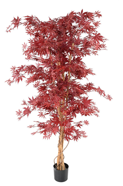 Kunstig Aralia Plante Rød 190Cm Til Indendørs
