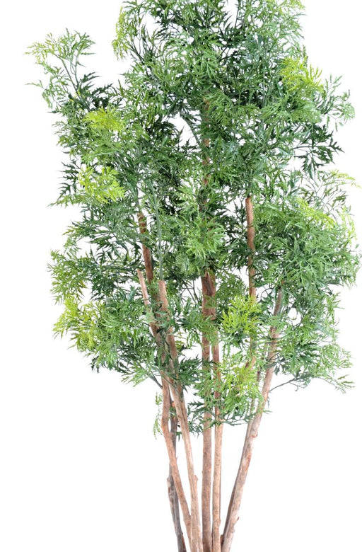 Kunstig Aralia Ming Plant 180Cm Indendørs Udendørs