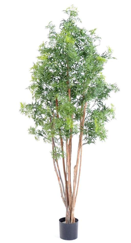 Kunstig Aralia Ming Plant 180Cm Indendørs Udendørs