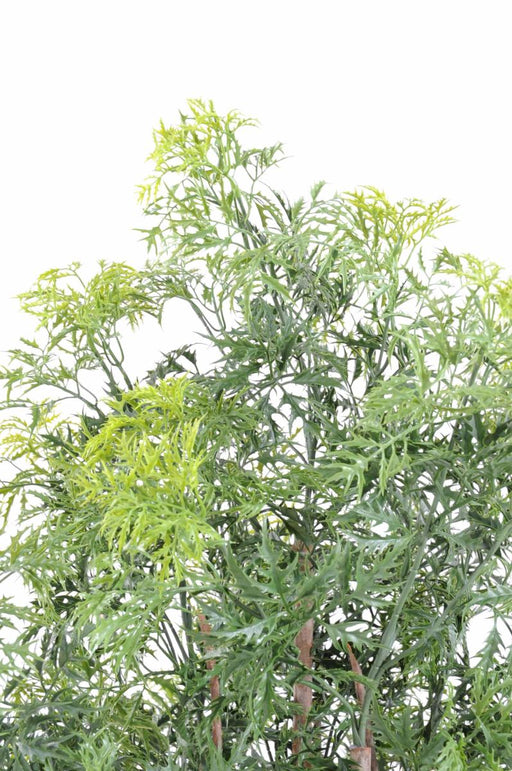 Kunstig Aralia Ming Plant H160Cm Til Indendørs Udendørs