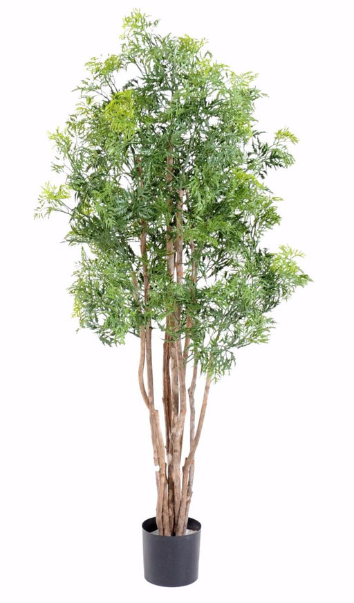 Kunstig Aralia Ming Plant H160Cm Til Indendørs Udendørs