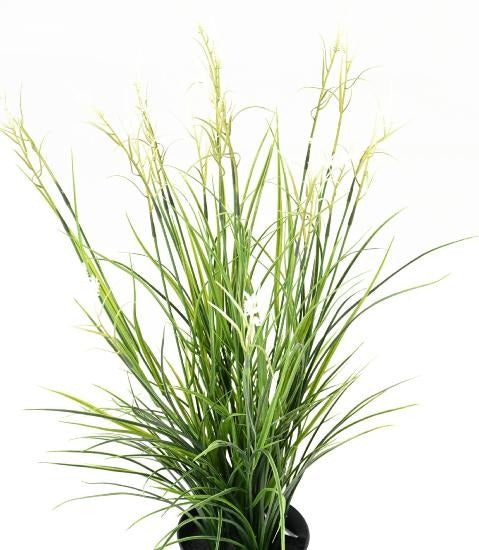 Kunstig Plante Acorus H.70Cm Til Udendørs