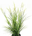 Kunstig Plante Acorus H.70Cm Til Udendørs