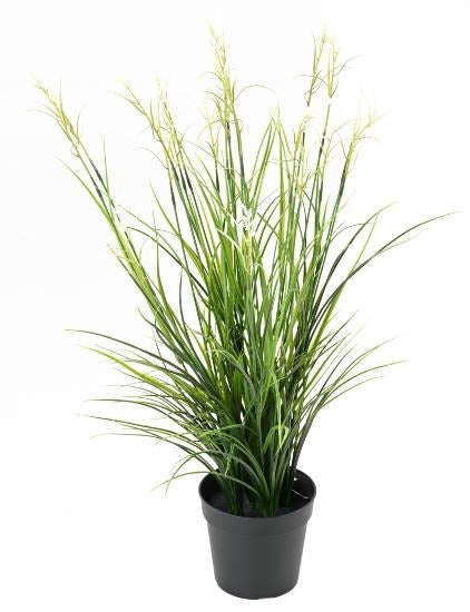 Kunstig Plante Acorus H.70Cm Til Udendørs