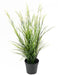Kunstig Plante Acorus H.70Cm Til Udendørs