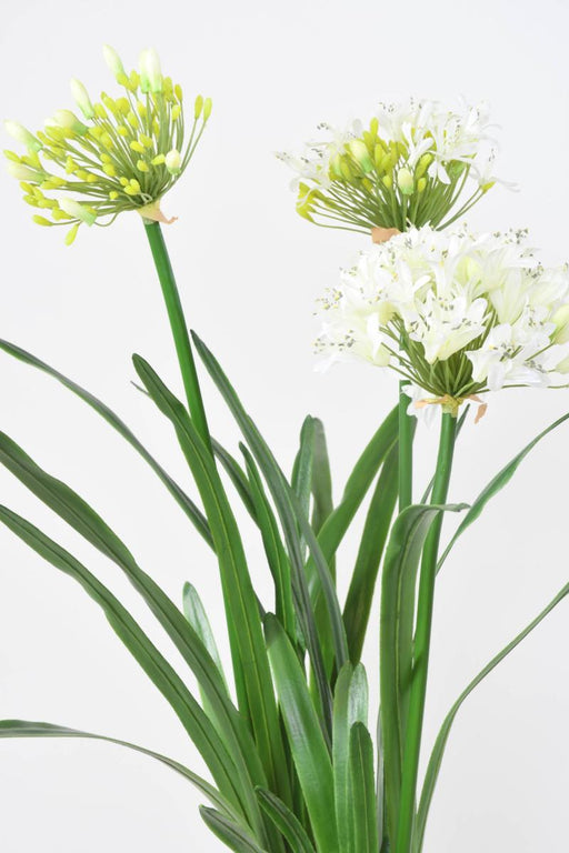 Kunstig Agapanthus Plante 90Cm Hvid