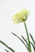 Kunstig Agapanthus Plante 90Cm Hvid