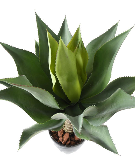 Kunstig Plante Agave Kaktus Indendørs 75Cm