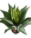 Kunstig Plante Agave Kaktus Indendørs 75Cm