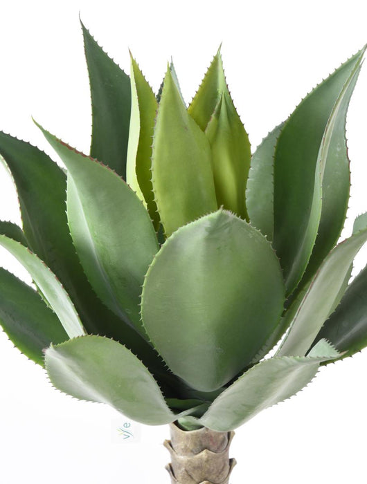 Kunstig Plante Agave Kaktus Indendørs 75Cm