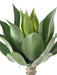 Kunstig Plante Agave Kaktus Indendørs 75Cm