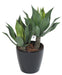 Kunstig Plante Agave Kaktus Indendørs 75Cm