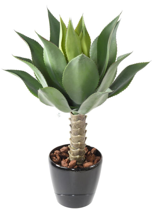 Kunstig Plante Agave Kaktus Indendørs 75Cm