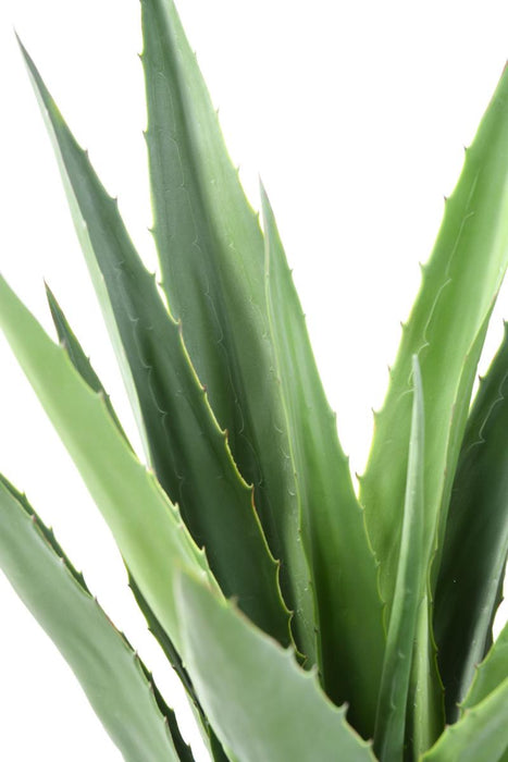 Kunstig Plante Grøn Agave 110 Cm Til Indendørs Udendørs