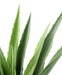 Kunstig Plante Grøn Agave 110 Cm Til Indendørs Udendørs