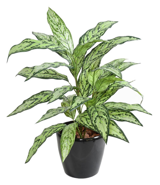 Kunstig Plante Aglaonema 80 Cm Til Indendørs