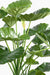 Kunstig Plante Alocasia 120Cm Indvendig Dekoration