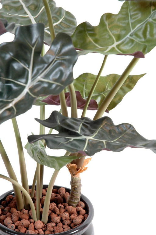 Kunstig Plante Alocasia 65Cm Grøn Rød