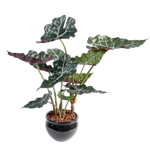 Kunstig Plante Alocasia 65Cm Grøn Rød