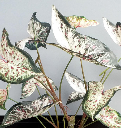 Kunstig Alocasia Plante 75 Cm Til Indendørs