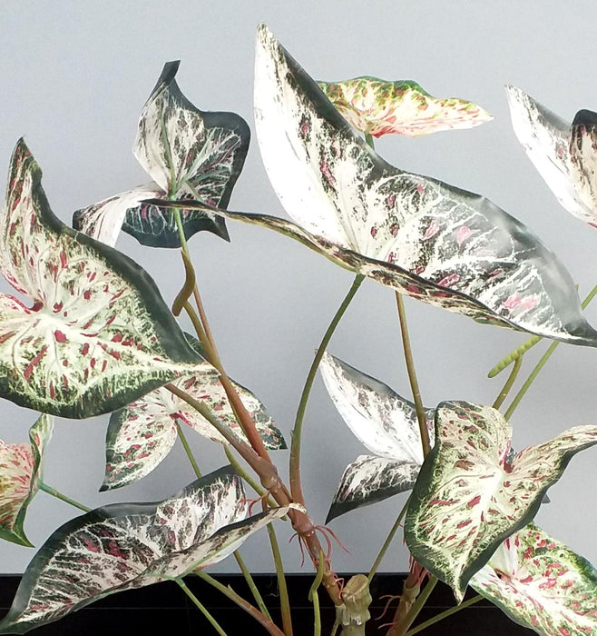 Kunstig Alocasia Plante 75 Cm Til Indendørs