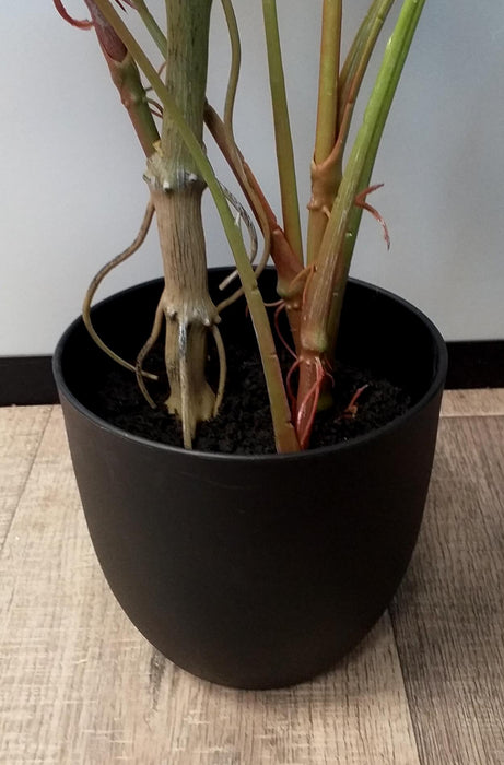 Kunstig Alocasia Plante 75 Cm Til Indendørs