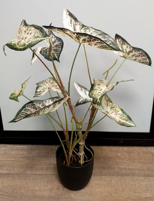 Kunstig Alocasia Plante 75 Cm Til Indendørs