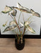 Kunstig Alocasia Plante 75 Cm Til Indendørs