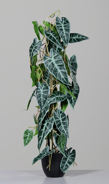 Kunstig Alocasia Plante 80Cm I Grøn Potte