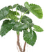 Kunstig Plante Alocasia Calidora 130 Cm Dekoration
