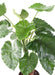Kunstig Plante Alocasia Calidora 130Cm Dekoration