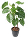 Kunstig Plante Alocasia Calidora 130Cm Dekoration