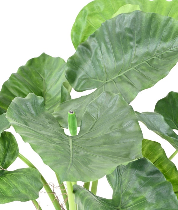 Kunstig Plante Alocasia Calidora 65Cm Interiørdekoration