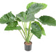 Kunstig Plante Alocasia Calidora 65Cm Interiørdekoration