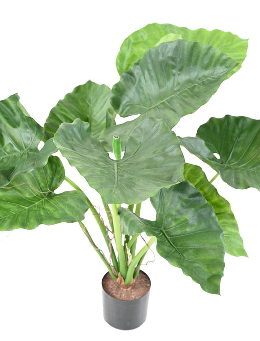 Kunstig Plante Alocasia Calidora 65Cm Interiørdekoration