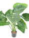 Kunstig Plante Alocasia Calidora 65Cm Interiørdekoration