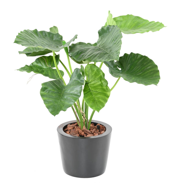 Kunstig Plante Alocasia Calidora 65Cm Interiørdekoration