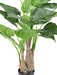 Kunstig Plante Alocasia Cucullata 80Cm Indvendig Dekoration