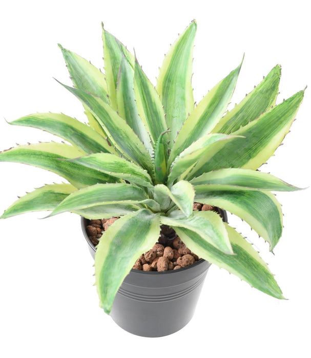 Kunstig Plante Aloe Cactus Indendørs 27Cm Grøn