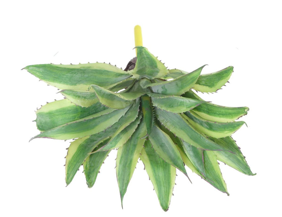 Kunstig Plante Aloe Cactus Indendørs 27Cm Grøn