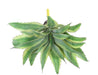 Kunstig Plante Aloe Cactus Indendørs 27Cm Grøn