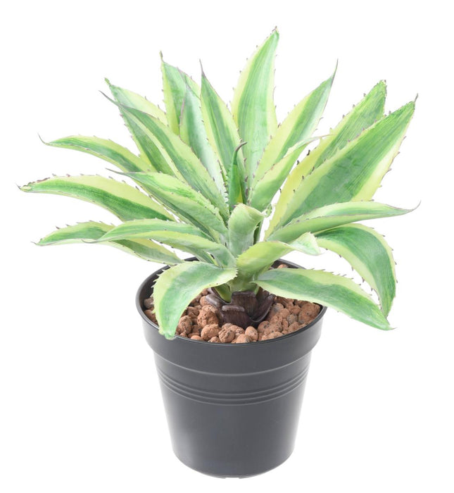Kunstig Plante Aloe Cactus Indendørs 27Cm Grøn