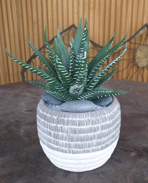 Kunstig Aloe Ferox Plante 15Cm Indendørs Grøn
