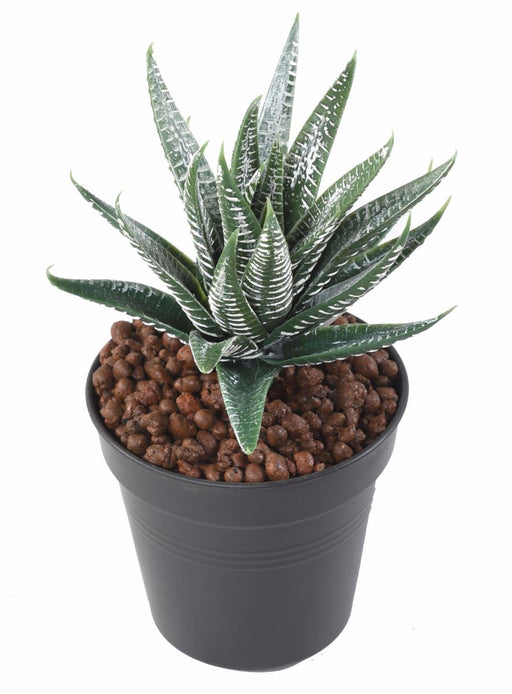 Kunstig Aloe Ferox Plante 15Cm Indendørs Grøn