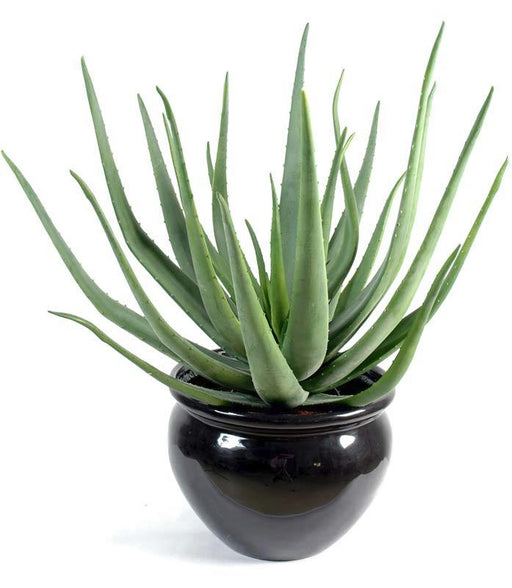 Kunstig Aloe Vera Plante 70 Cm Til Pynt