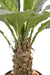 Kunstig Anthurium Plante 130 Cm Til Indretning